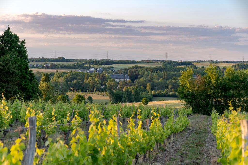 Terroir appellation touraine azay le rideau