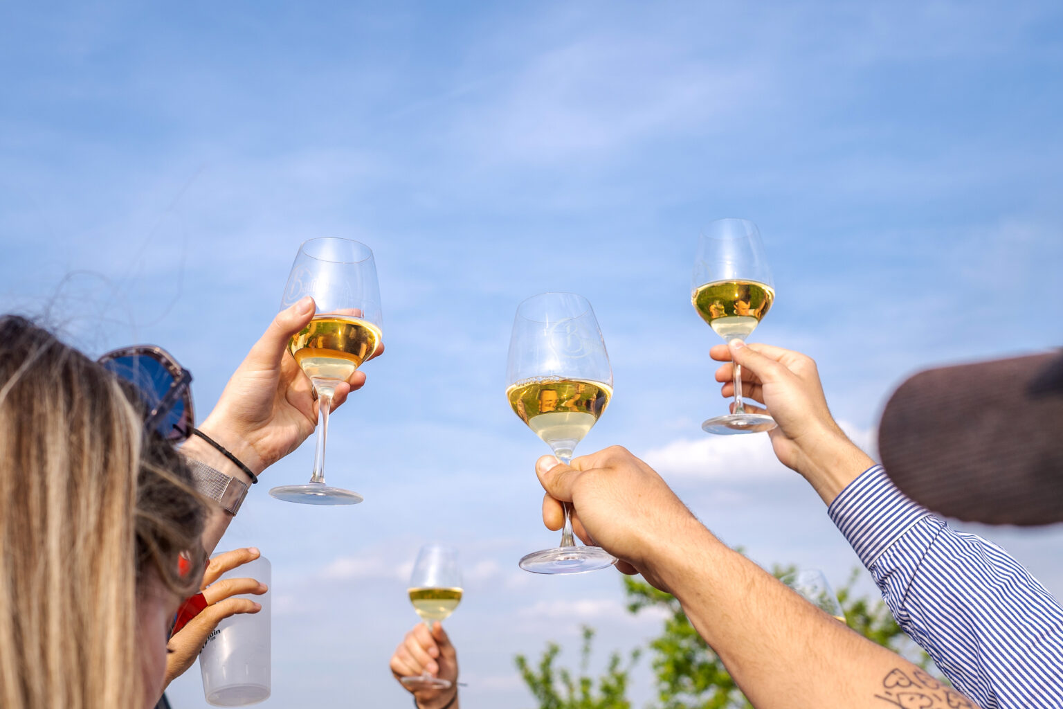 Agriculture biologique