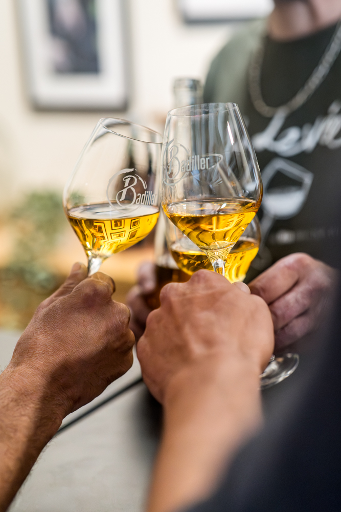 Visite de cave à Azay le Rideau et dégustation des vins des touraine chenin