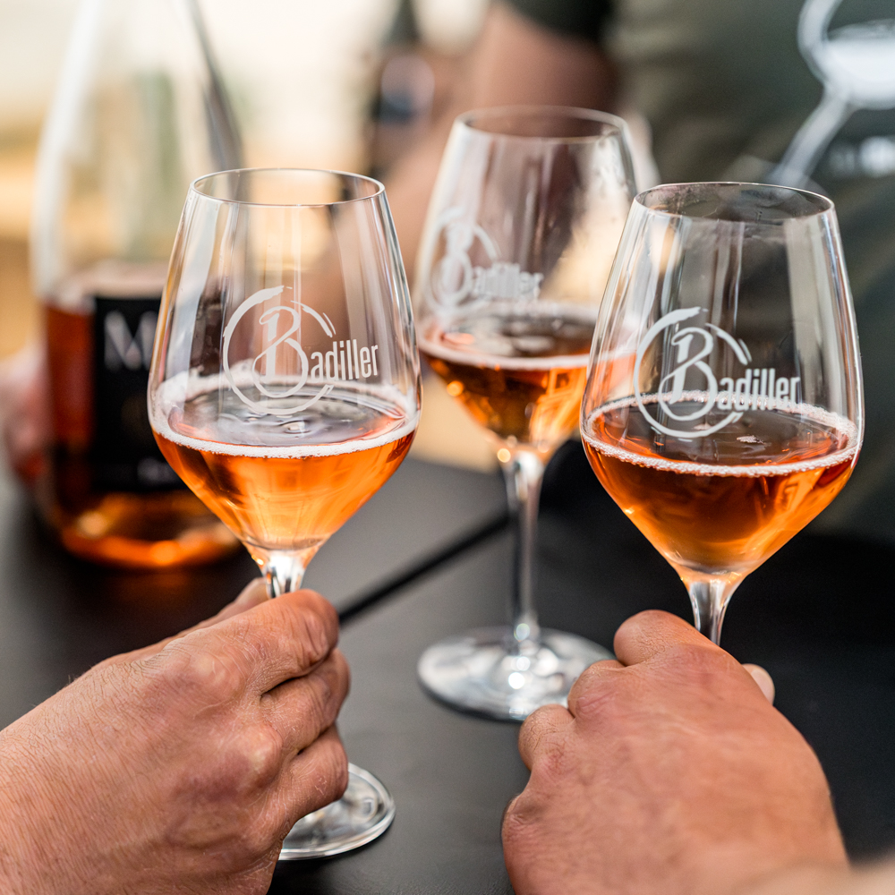 Visite domaine viticole à visiter près des châteaux de la Loire pour dégustation