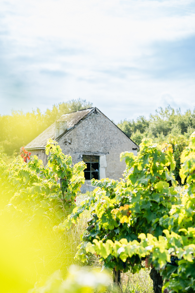 randonnée oenotourisme terroir