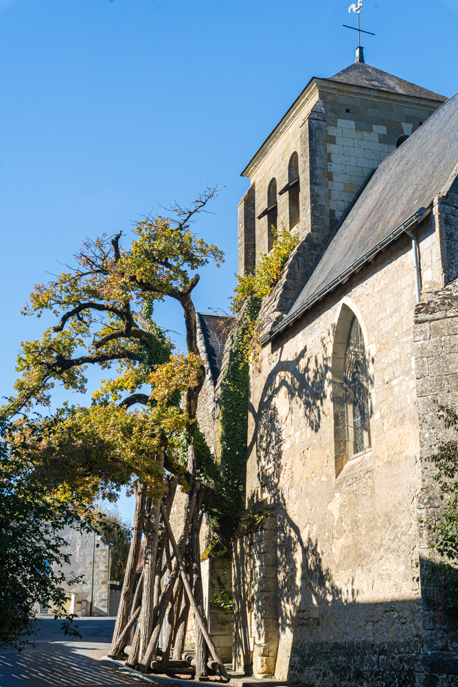 Visite du patrimoine et oenotourisme en touraine à cheillé